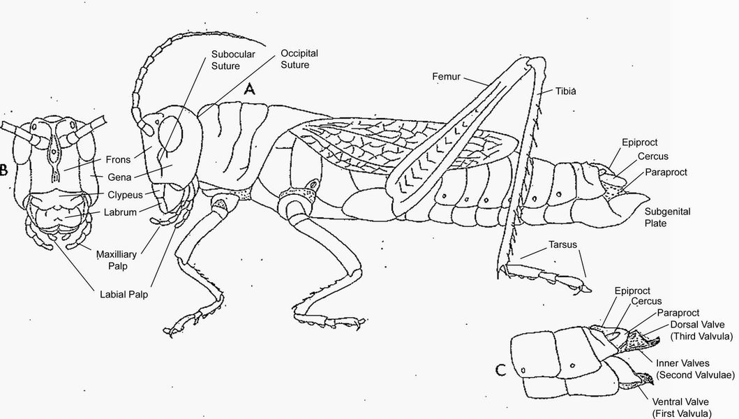 Untitled Document [www.sfu.ca]